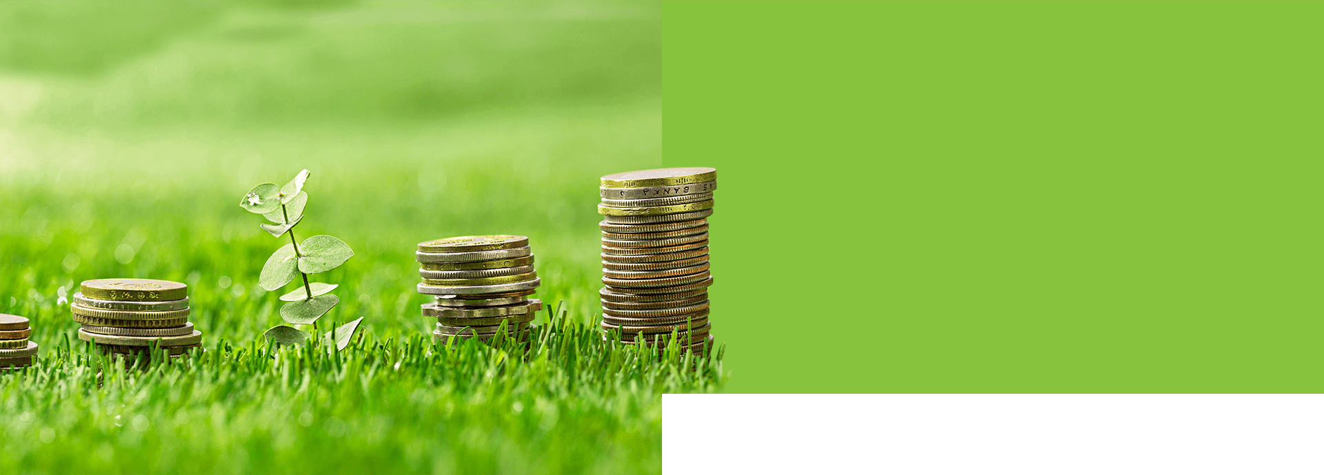 /prices-header.png